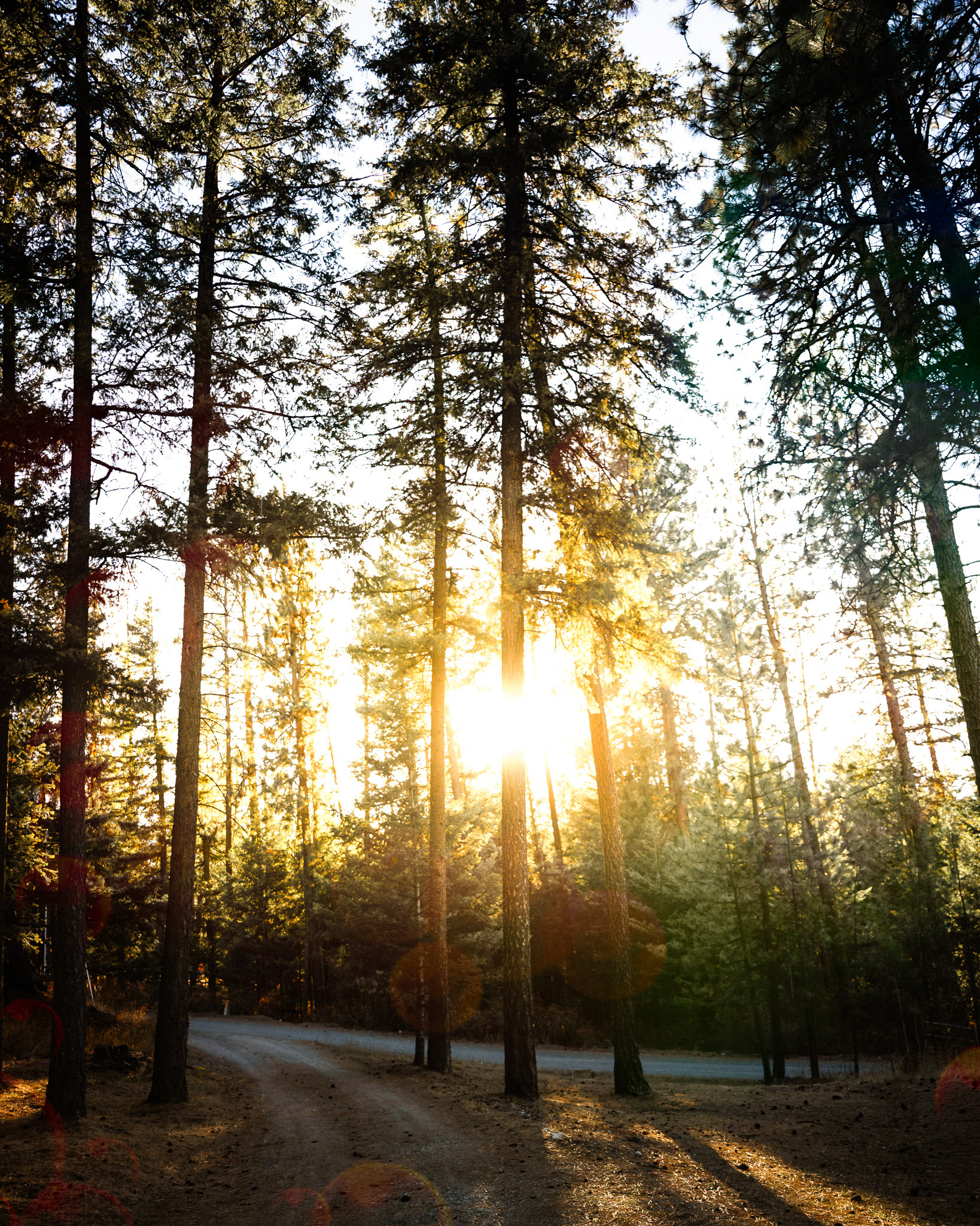 1c338e07 e63d 4275 954f 9c34fb128df0